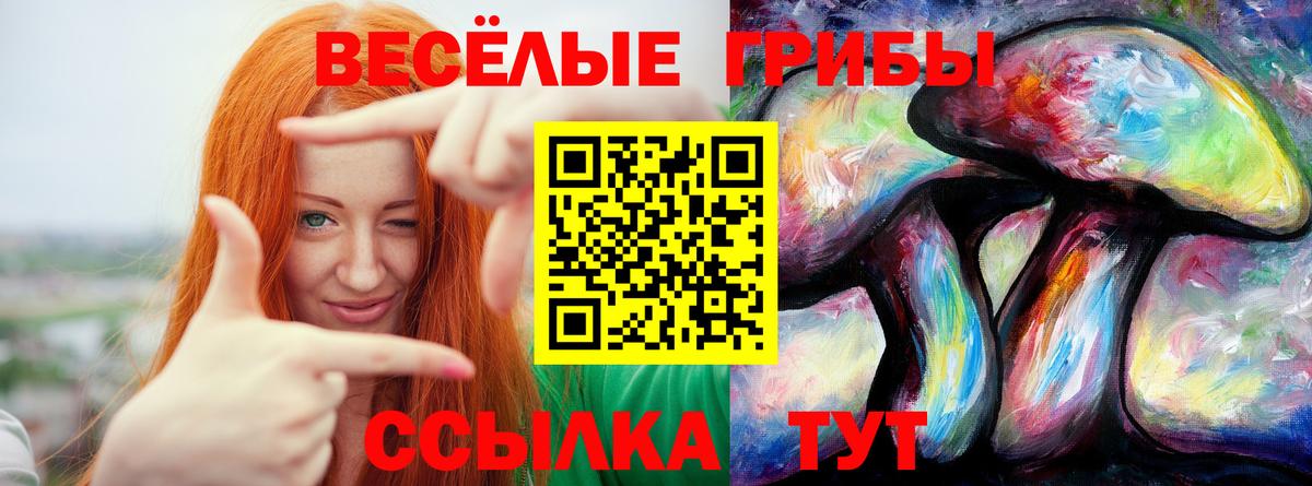 Галлюциногенные грибы мицелий Ишимбай