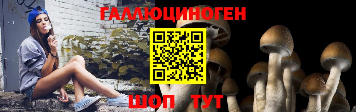 Псилоцибиновые грибы Ишимбай